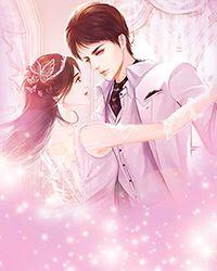 沈轻纾傅斯言傅律师太太说她不回头了笔趣阁